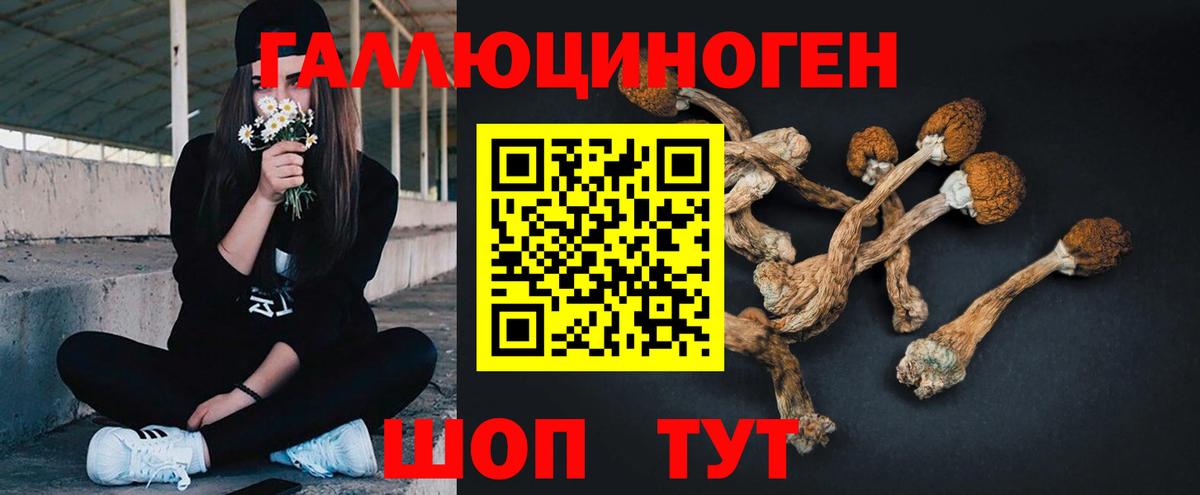 магазин продажи наркотиков  Галлюциногенные грибы Cubensis  Вход с VPN  Менделеевск 